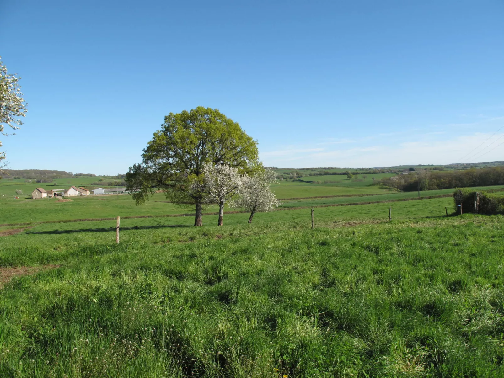 Les Brûles-Buiten