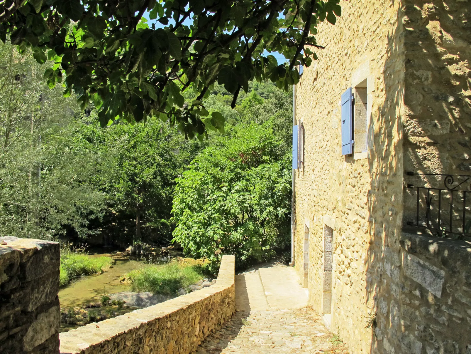 La Maison du Figuier-Buiten
