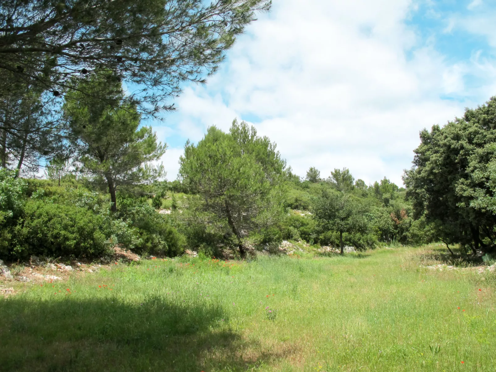 Les Garrigues d'Ozilhan-Buiten