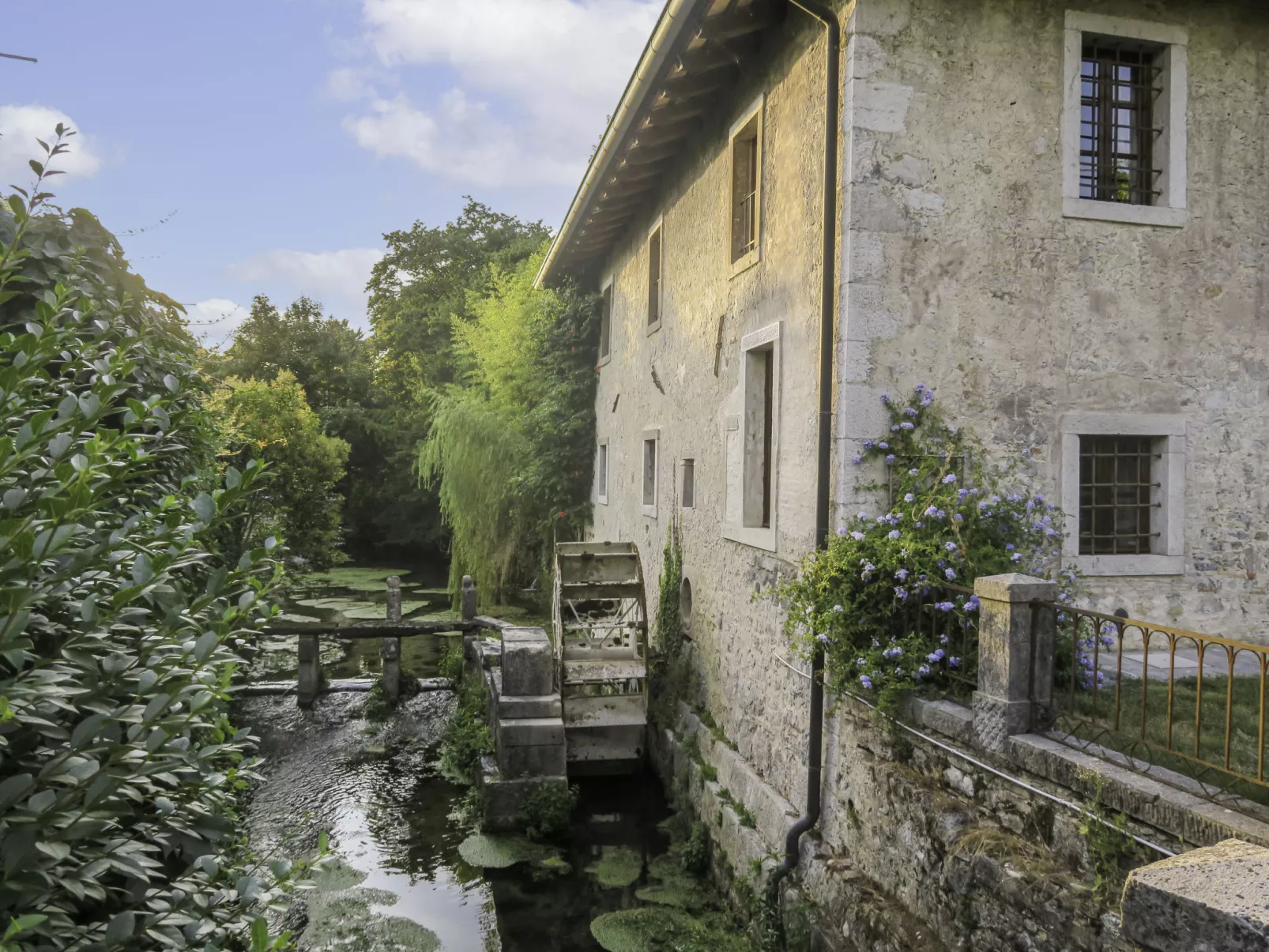 Casa del Ligustro-Buiten