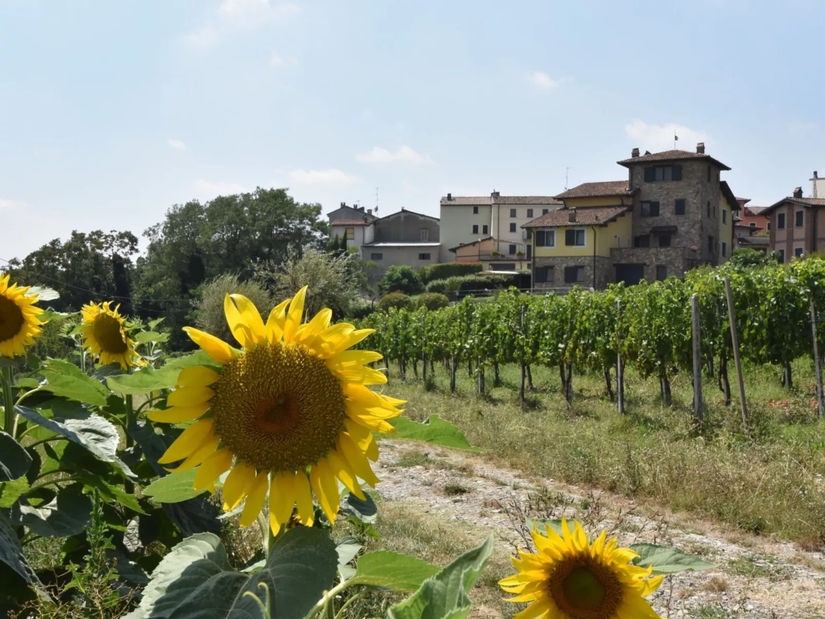 La Corte Bricca (Trilo Torretta)-Buiten