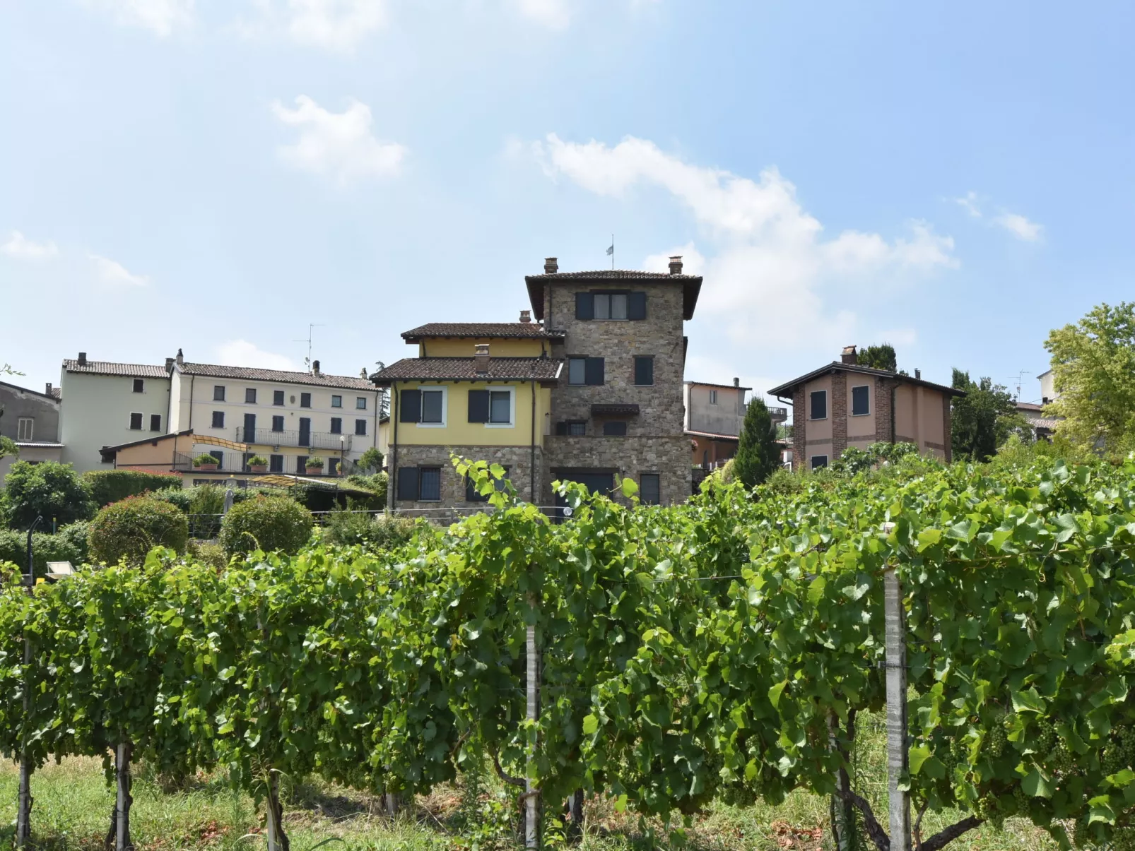 La Corte Bricca (Casa Padronale)-Buiten