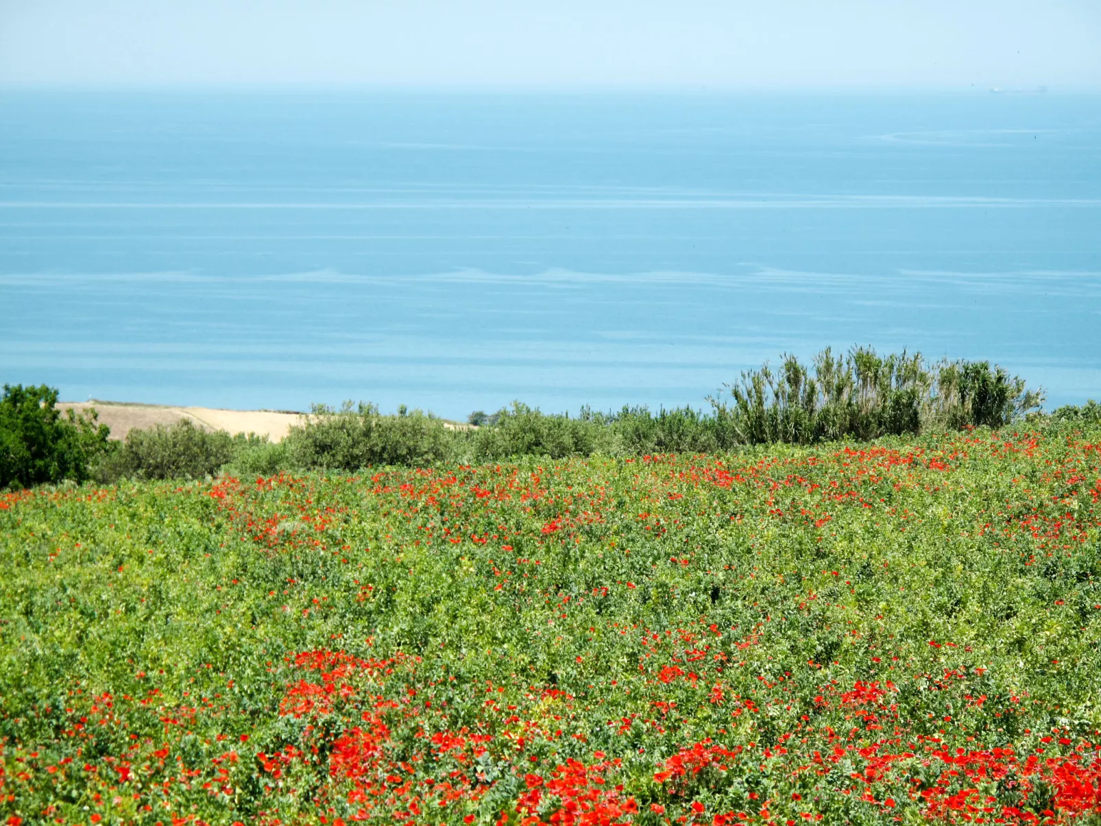 Masseria Difesa Grande-Omgeving