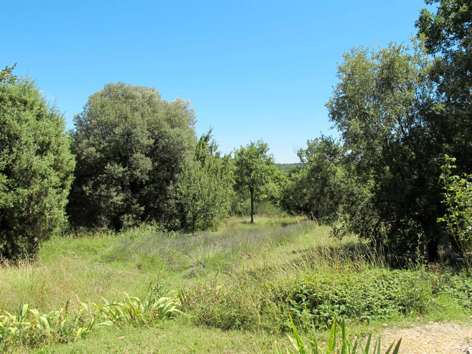 Le Moulin de Verfeuil-Buiten