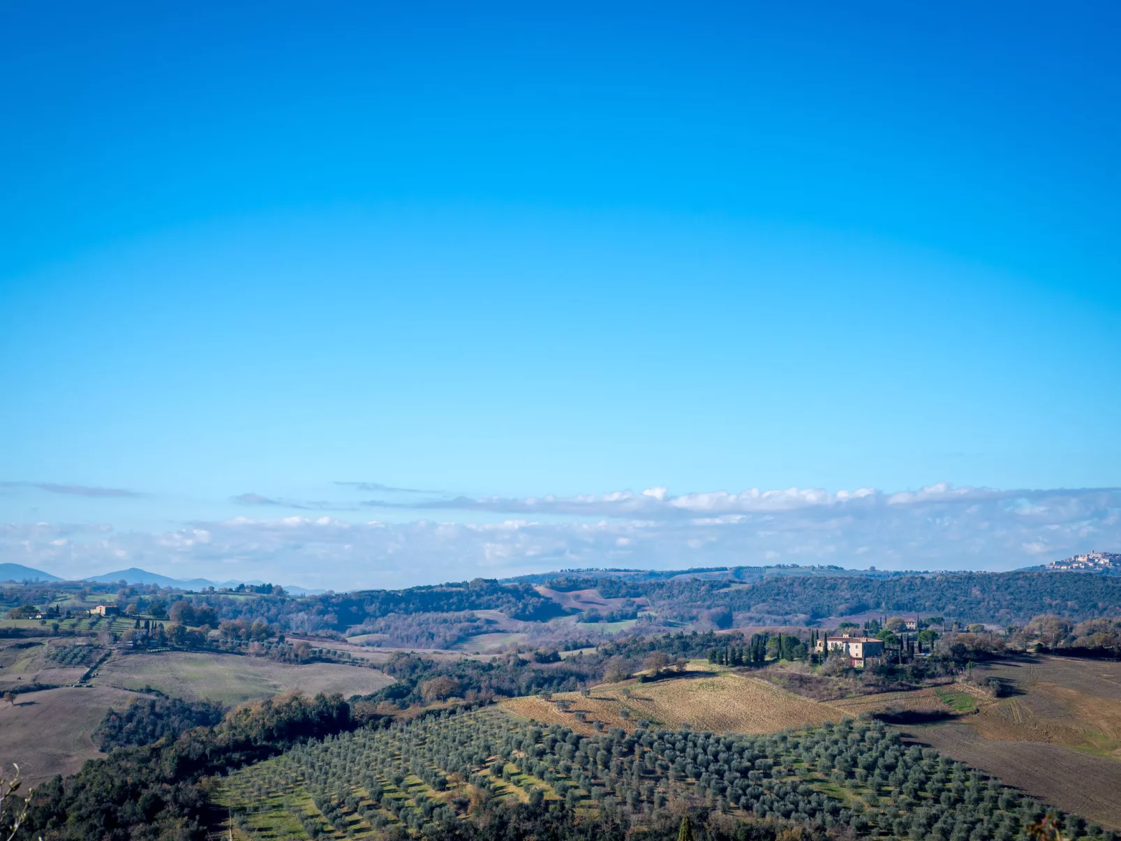 Bel Giardino