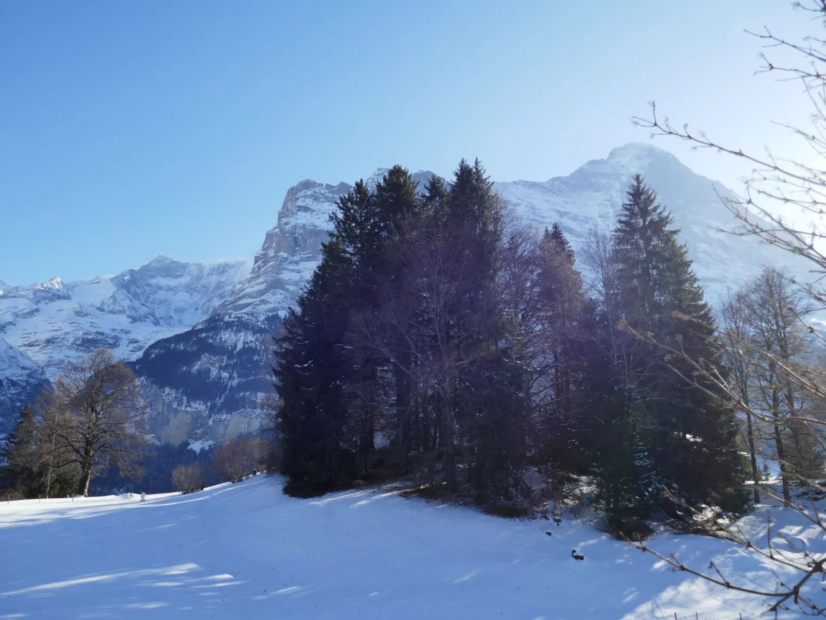 Chalet Blaugletscher-Buiten