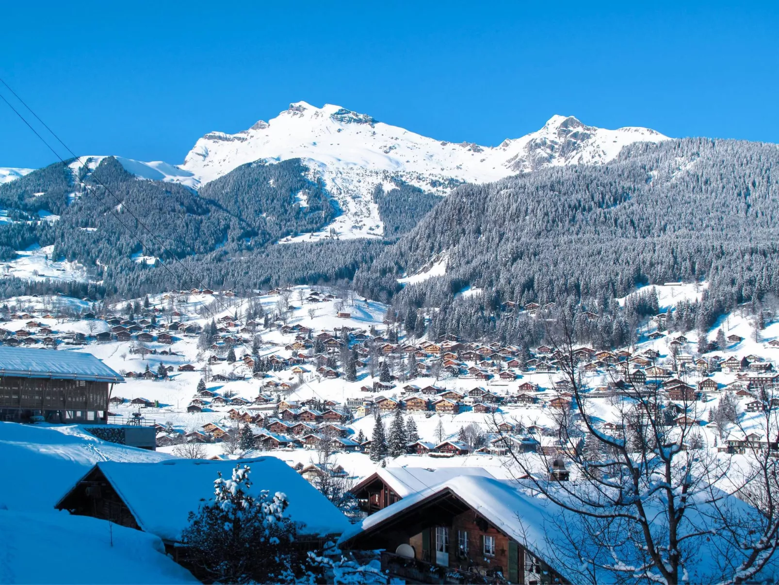 Chalet Blaugletscher-Omgeving