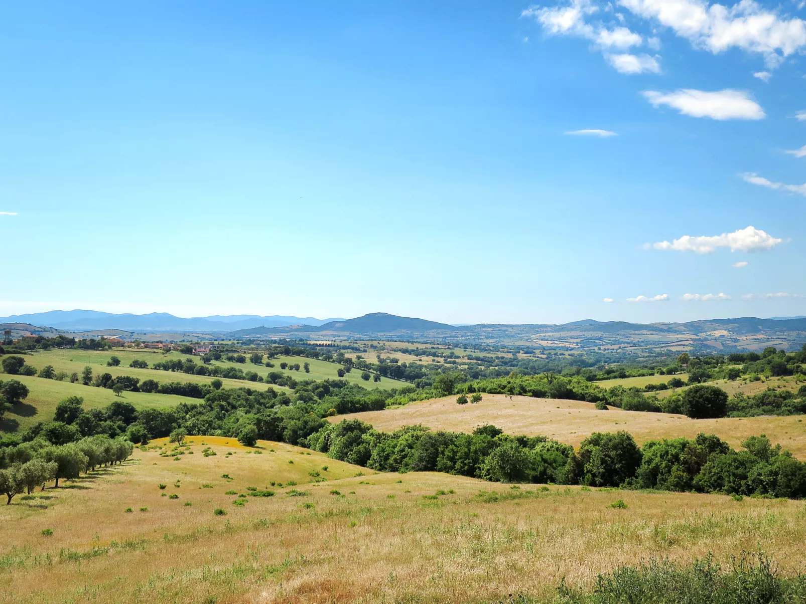 Ginestra-Buiten