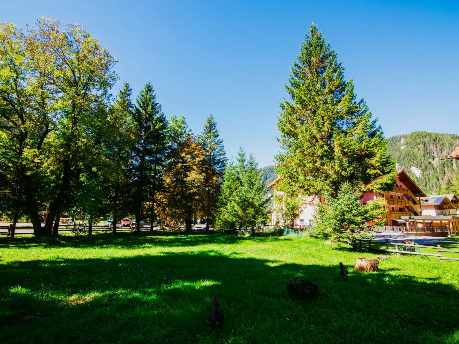 Cesa Minach-Buiten
