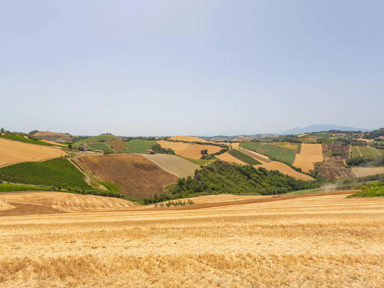 Erika-Buiten