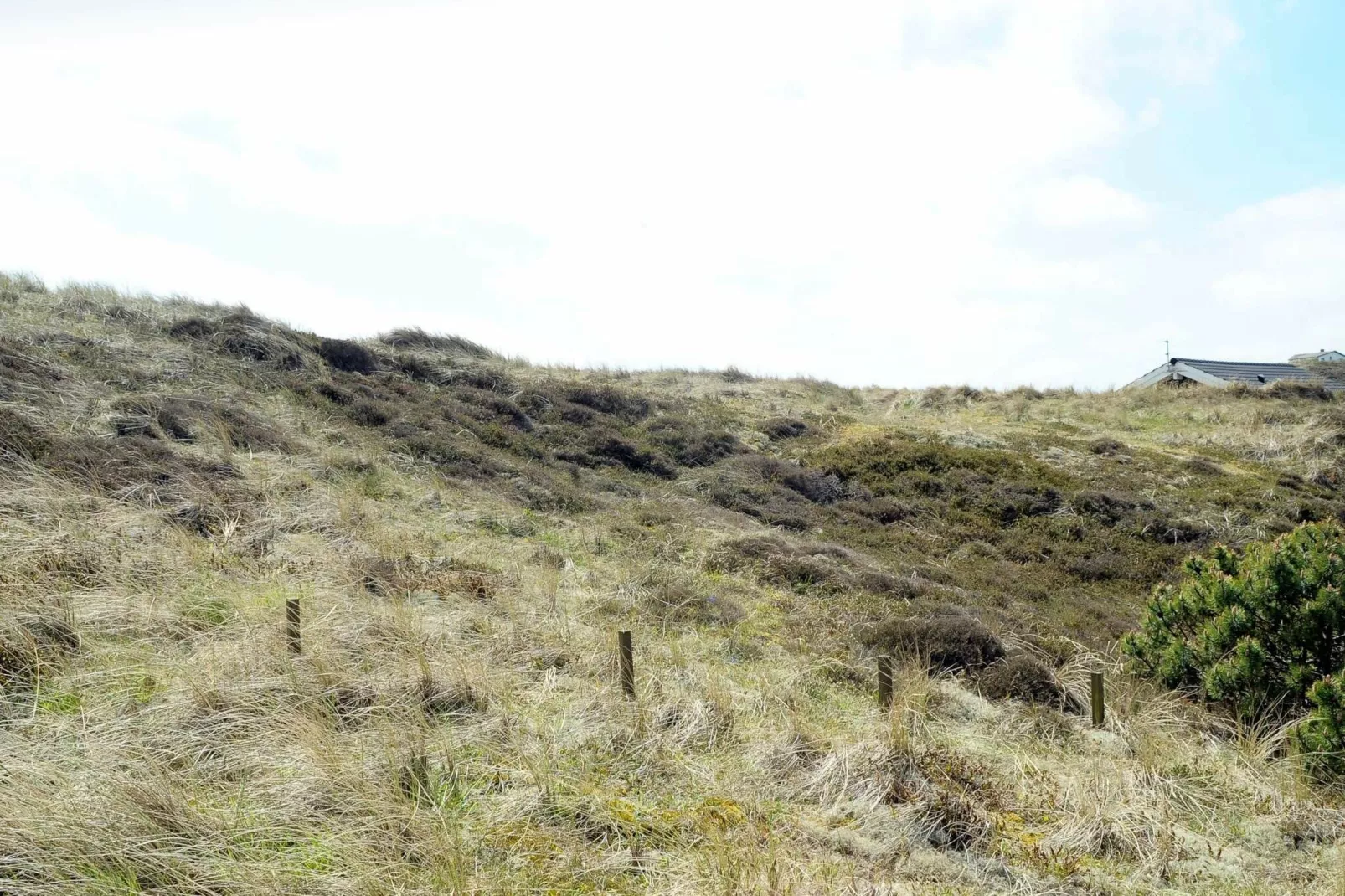 5 persoons vakantie huis in Ringkøbing-By Traum-Uitzicht