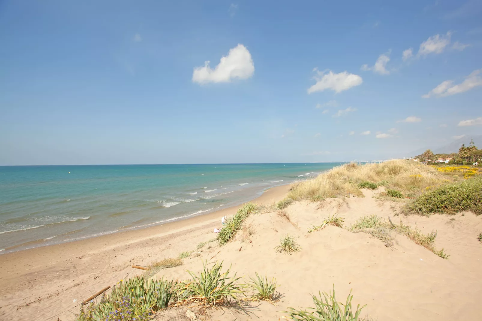 Romana Playa 725-Niet-getagd