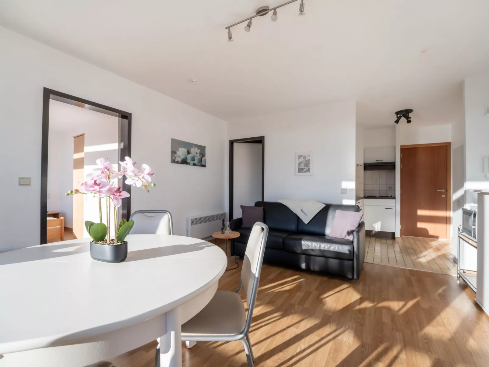 Appartement 64/202