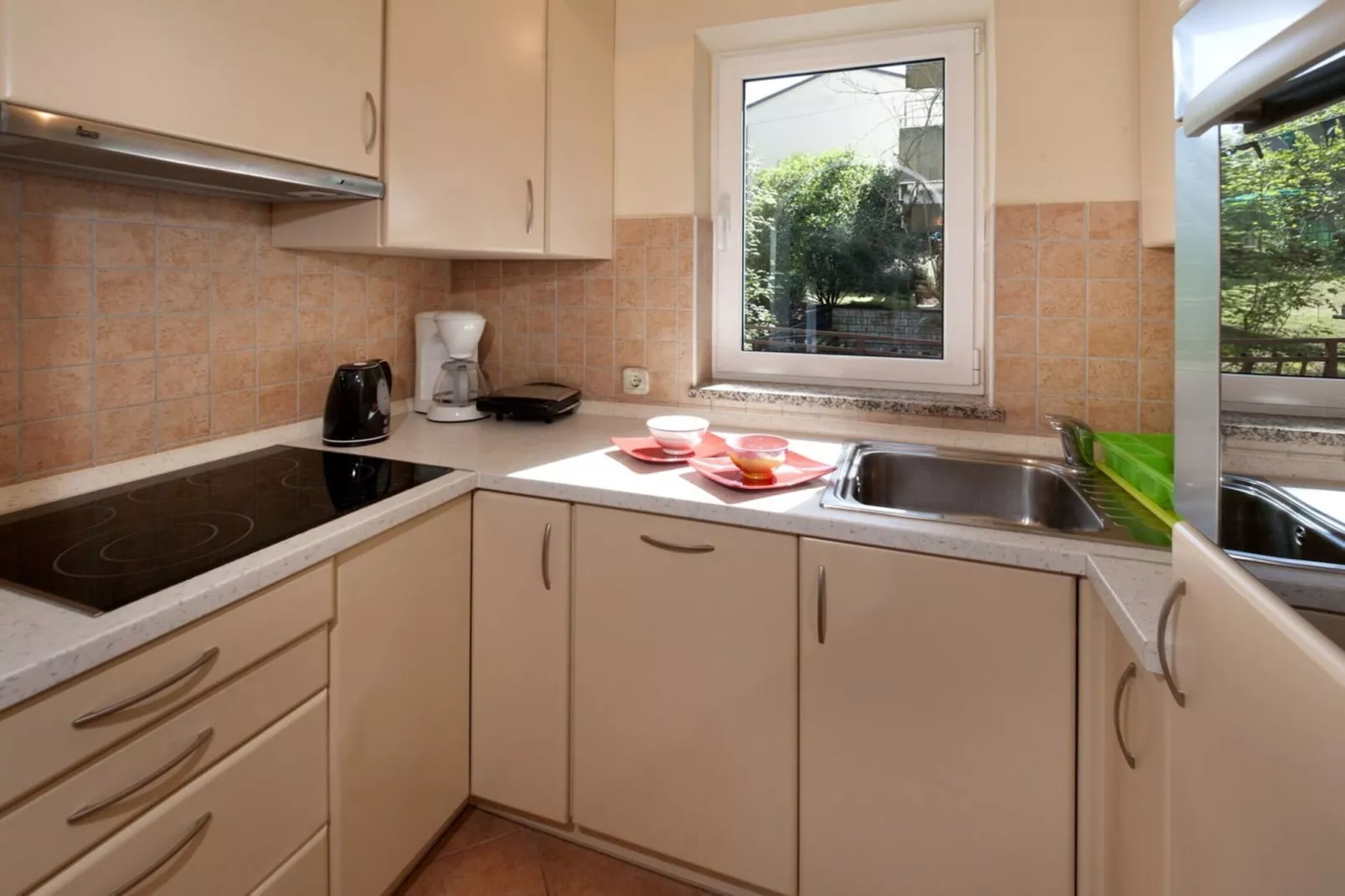 Apartment Saša-Keuken