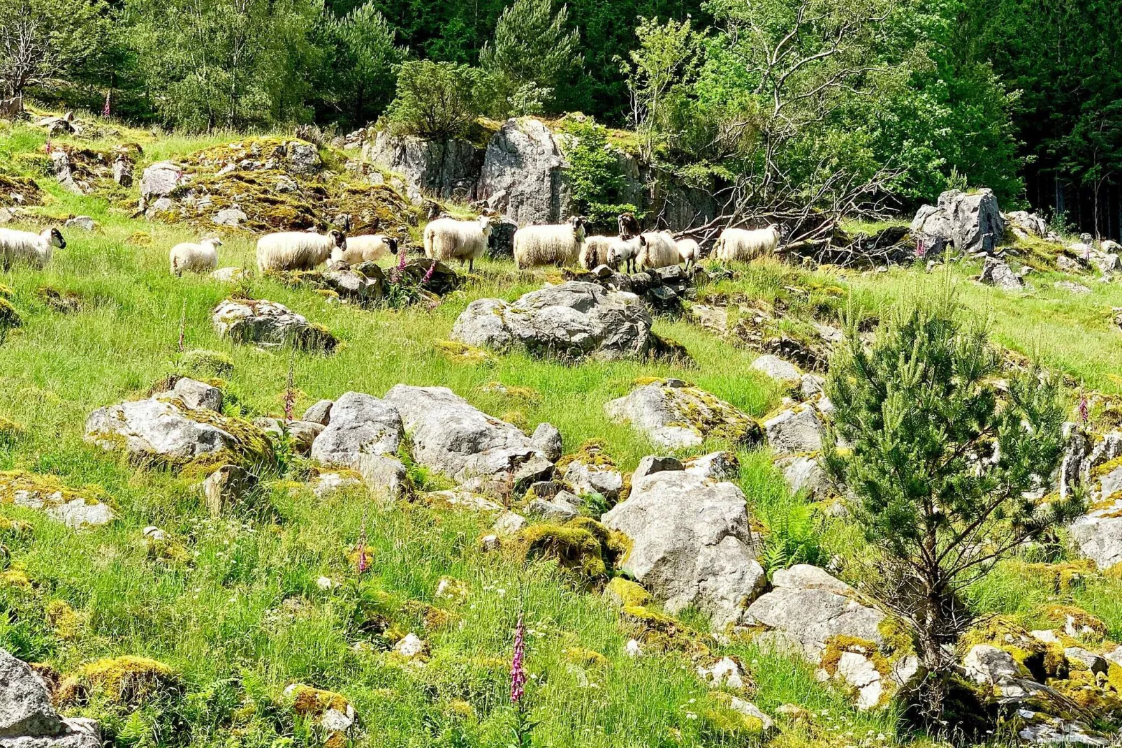 VALEVÅG 04133-Buitenlucht