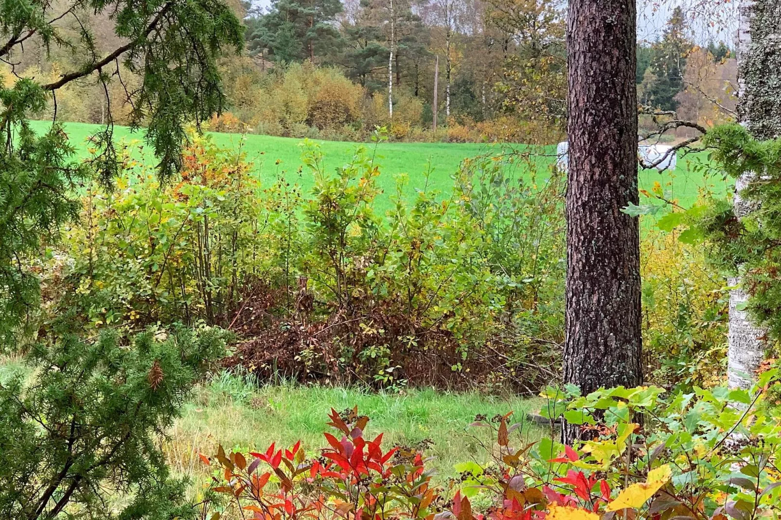 4 persoons vakantie huis in HOLSLJUNGA-By Traum-Niet-getagd