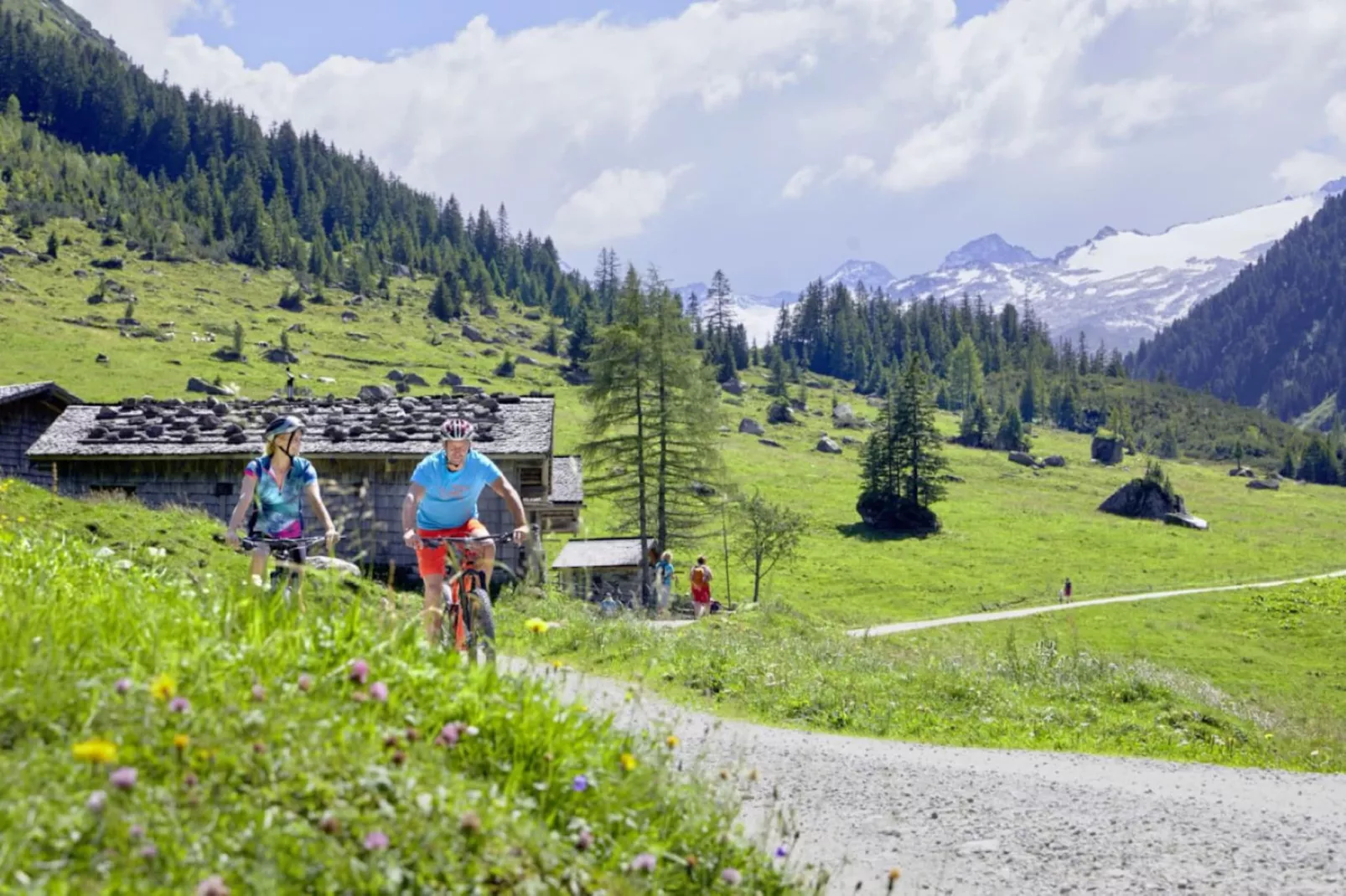 Bergresort Tauernblick 1-Gebieden zomer 5km