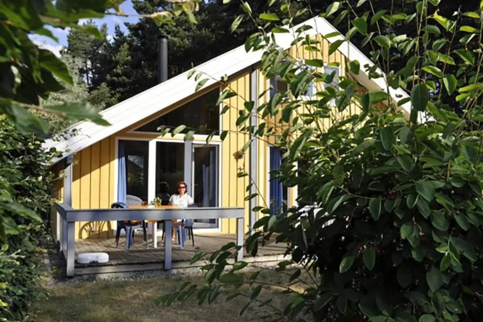 FH Wildgans Comfort Nr 207-Buitenkant zomer