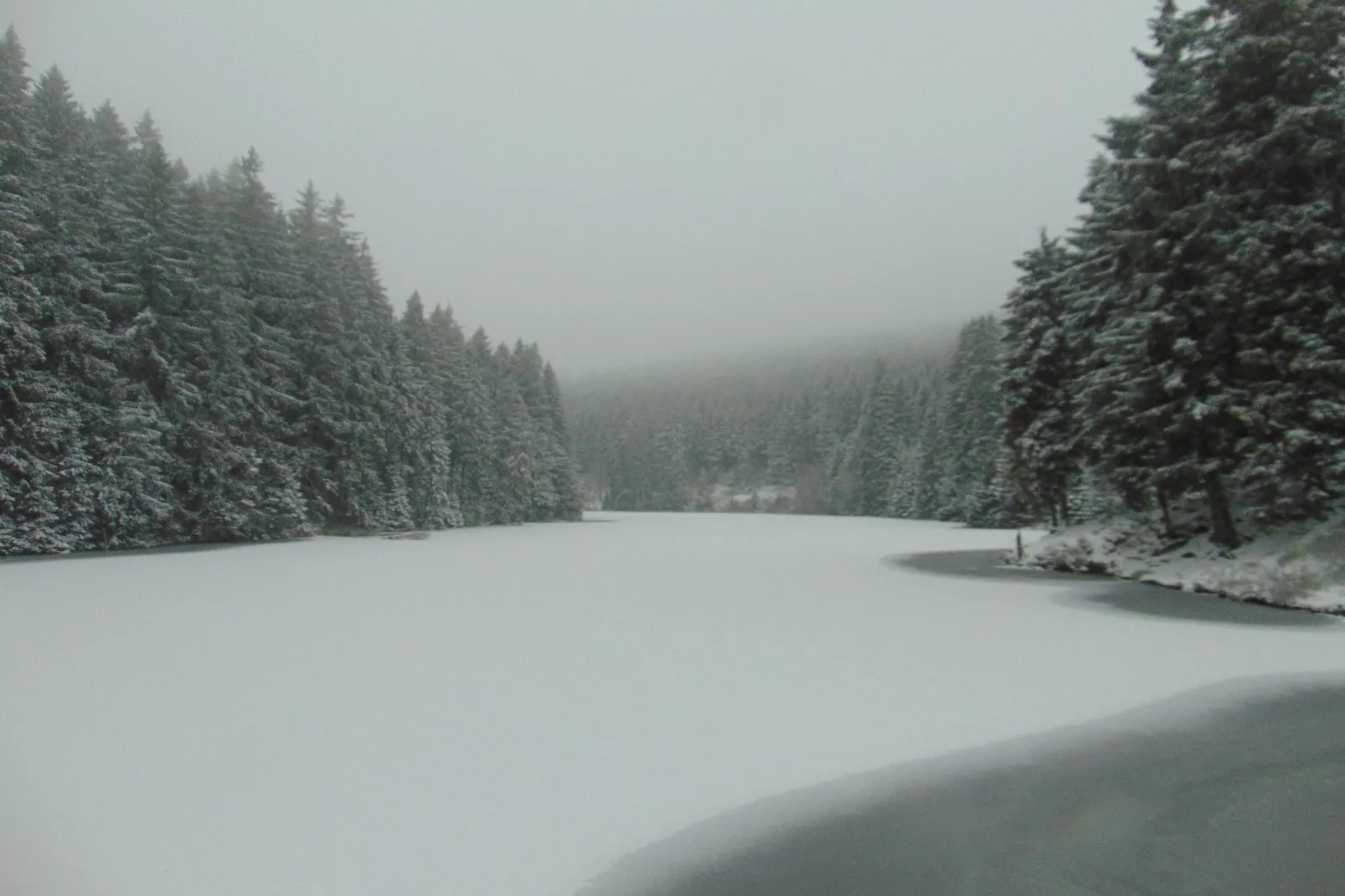 Wildemann-Gebied winter 20km