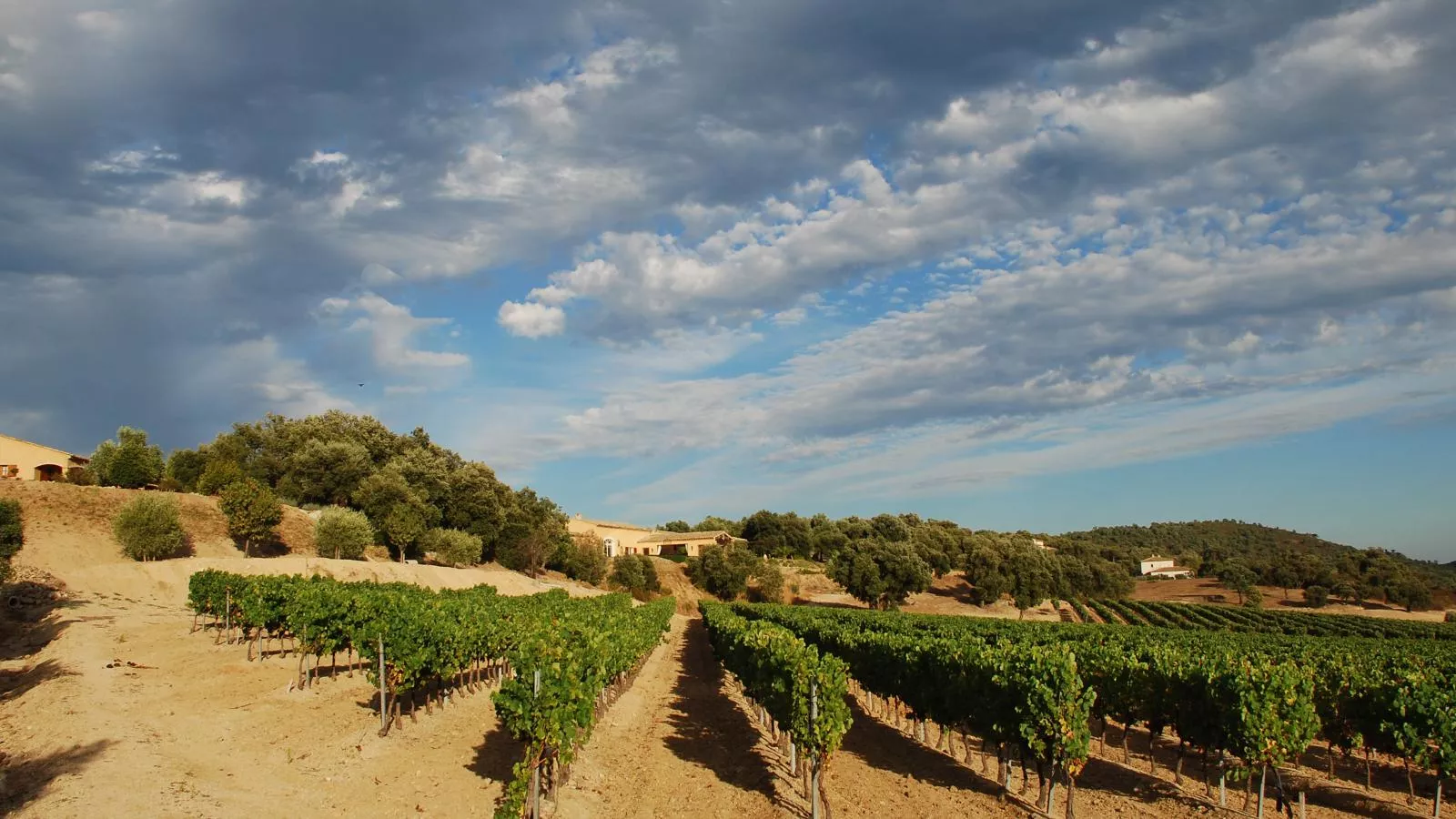 Entre les vignes-Gebieden zomer 1km