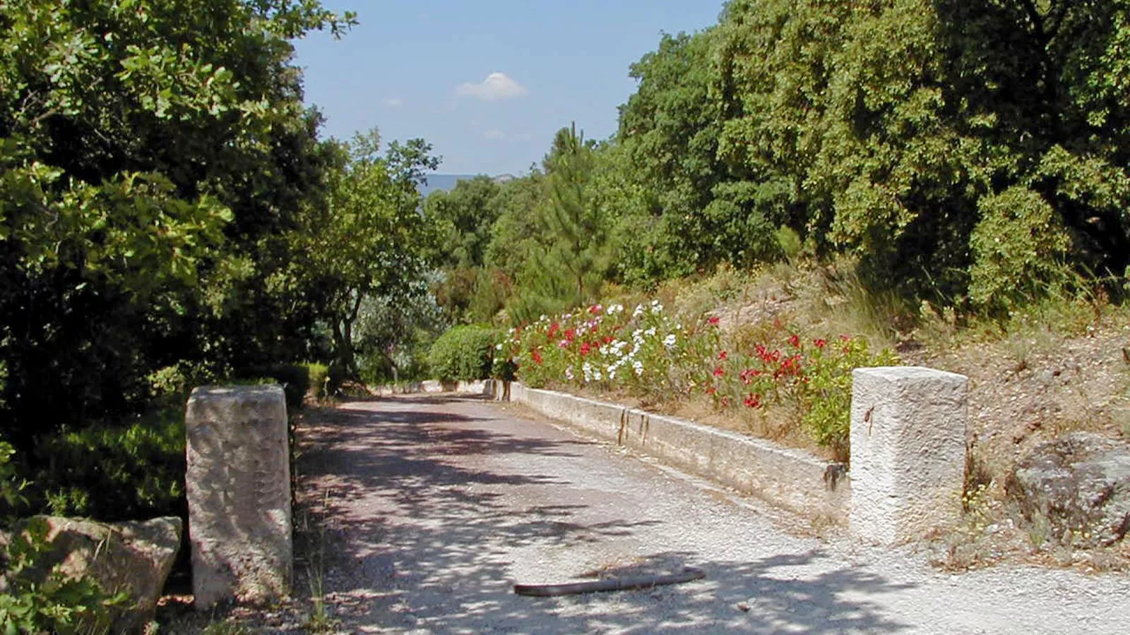 Entre les vignes-Gebieden zomer 1km