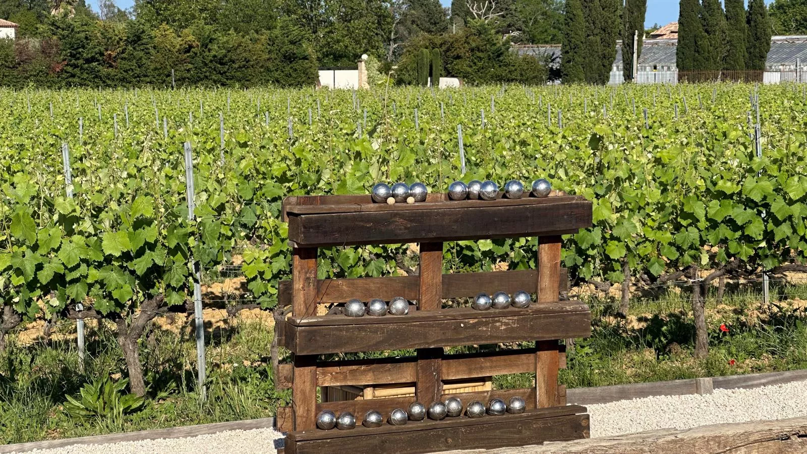 Entre les vignes-Sfeer