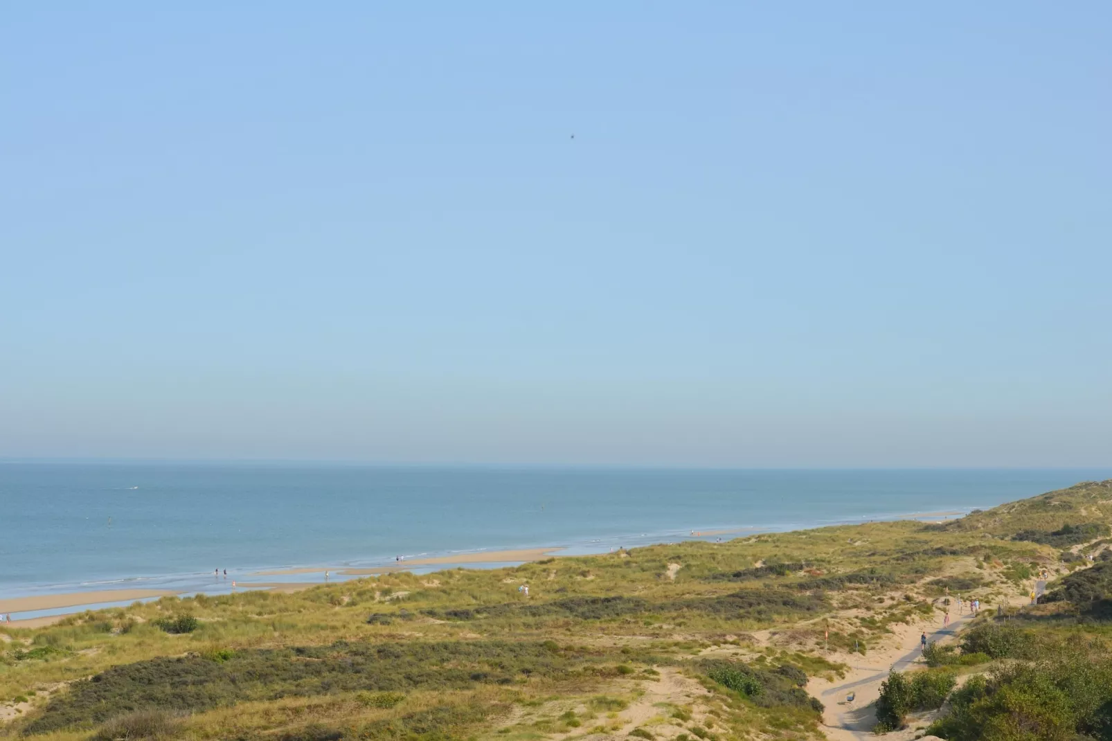 PLAZA I/2811-Gebieden zomer 5km