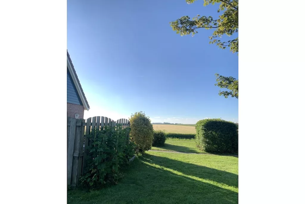 495316-Gebieden zomer 1km