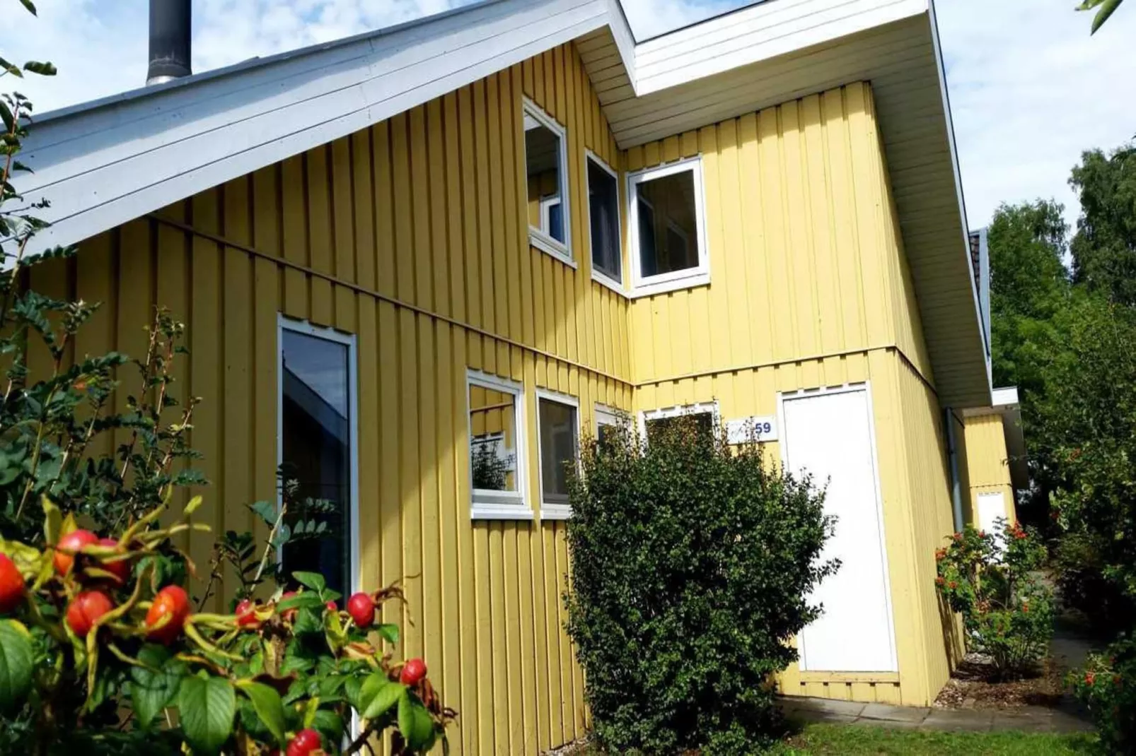 FH Wildgans Comfort Nr 59-Tuinen zomer