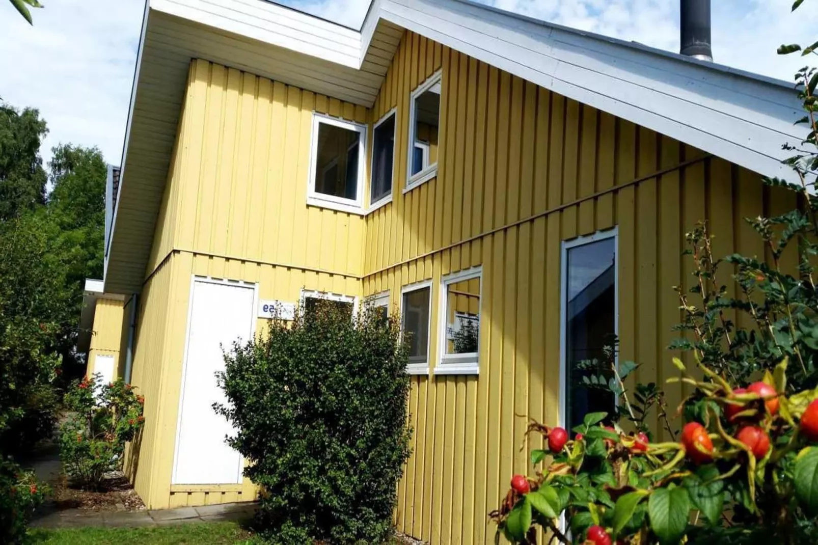 FH Wildgans Comfort Nr 59-Niet-getagd