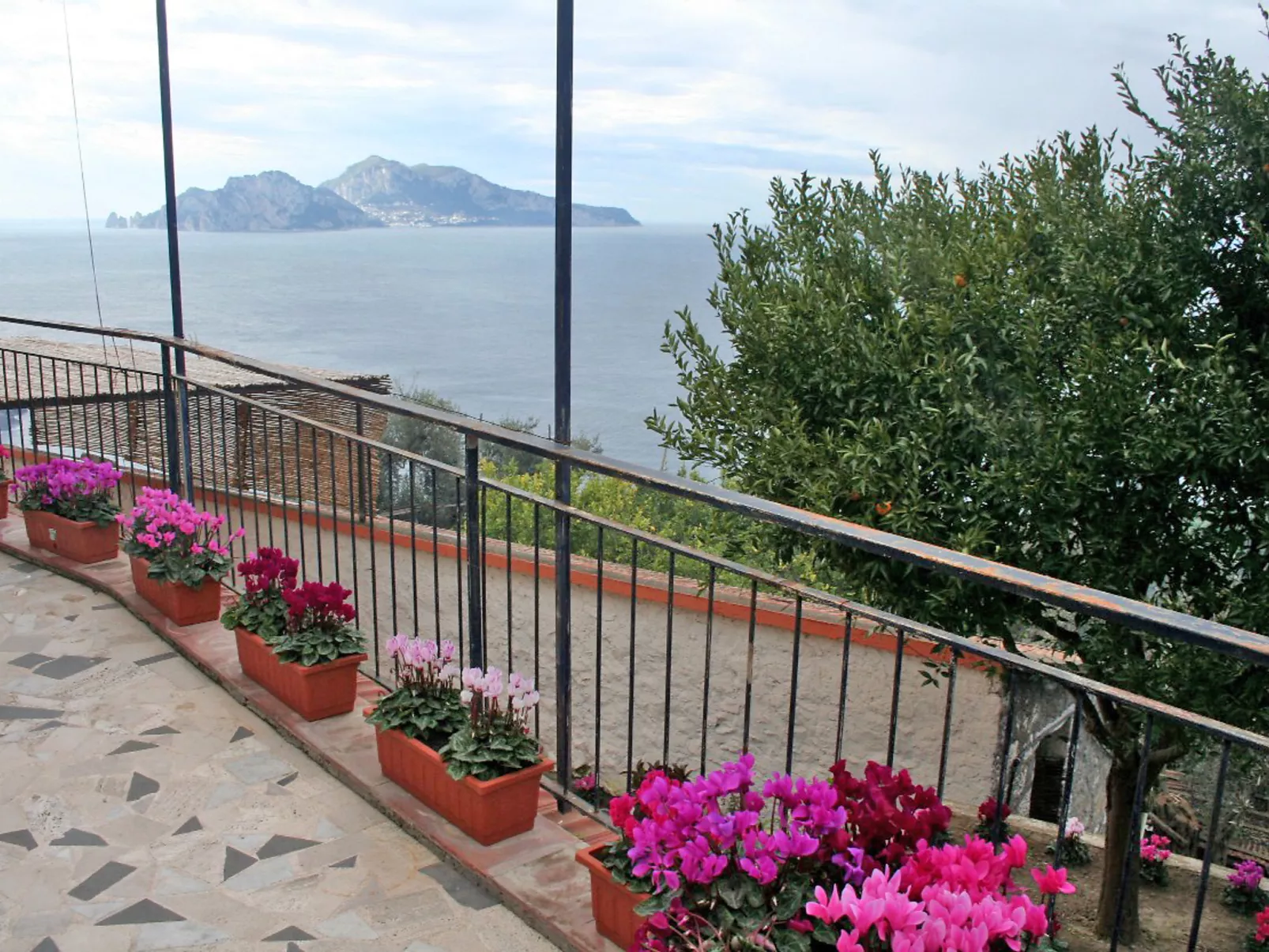 Don Luigino - Capri view