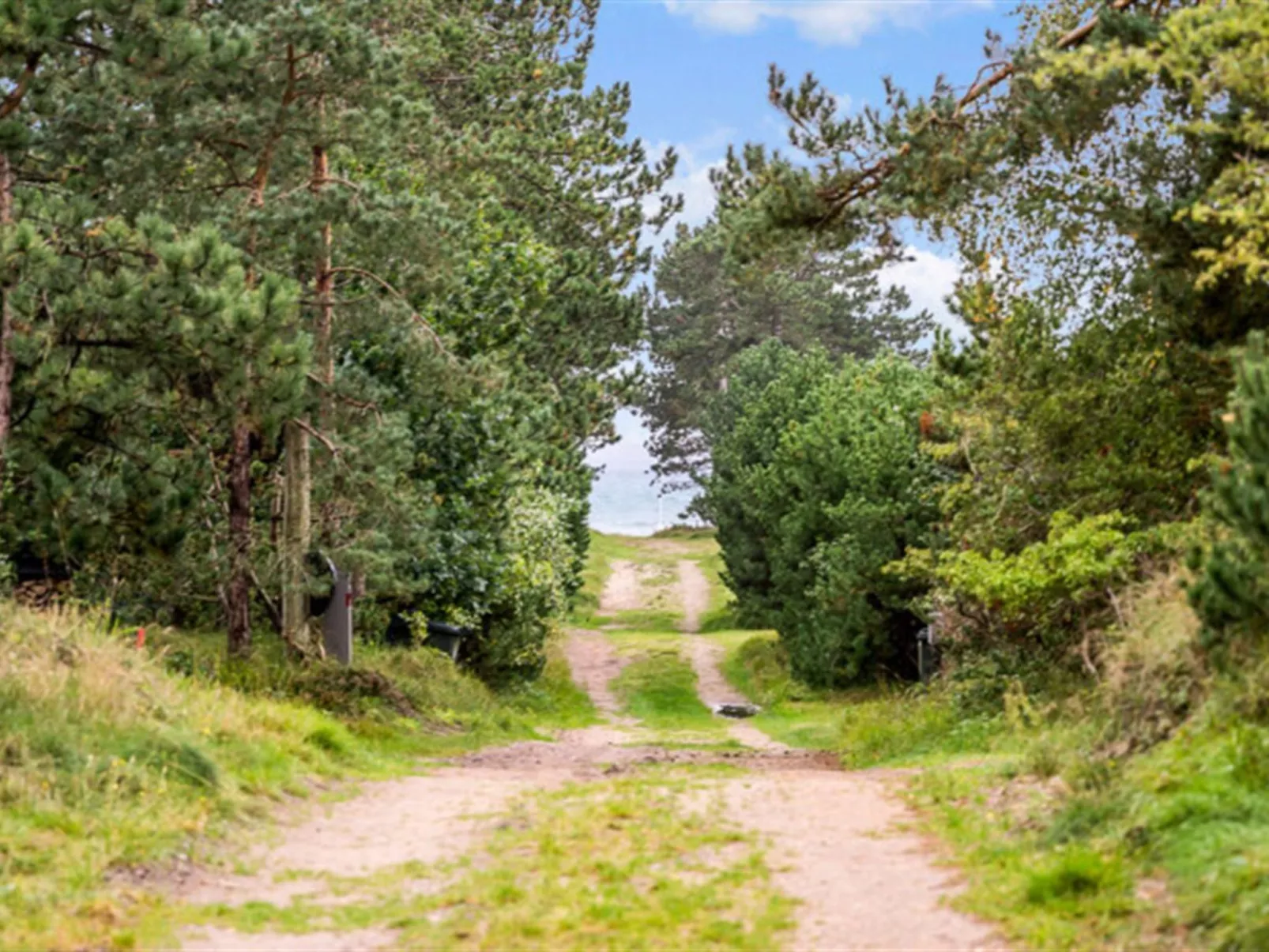 "Dagino" - 200m from the sea-Binnen