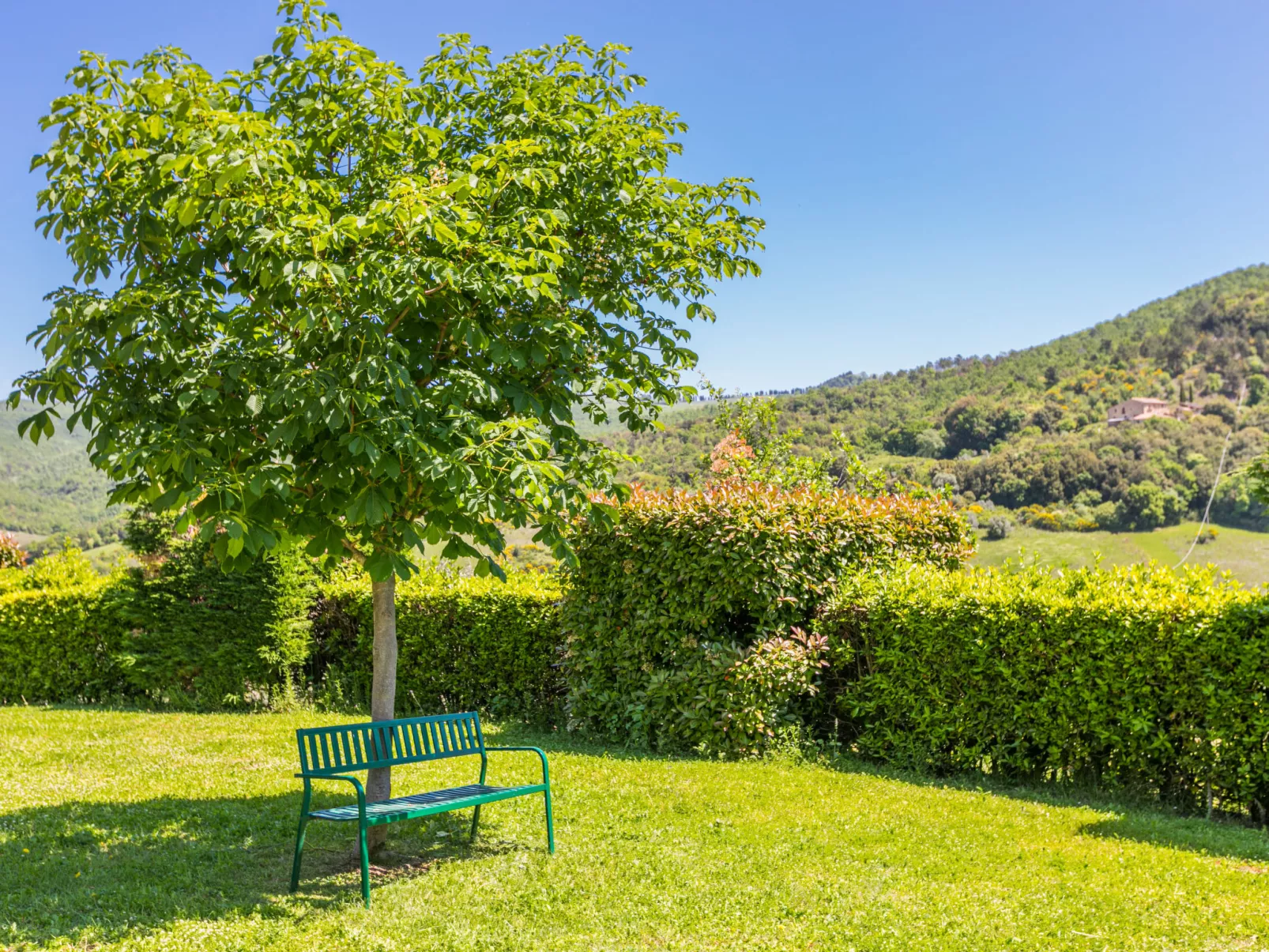 Podere Cafaggiolo-Buiten