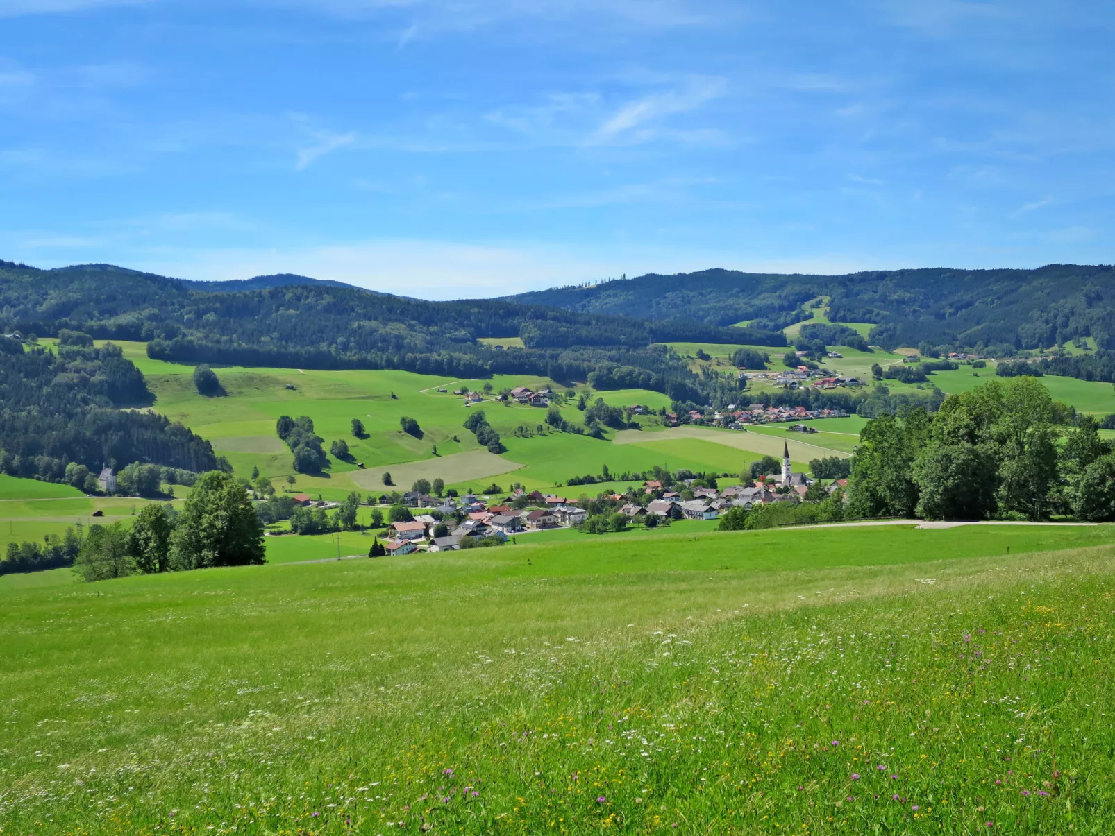 Ferienwohnung Fichte-Buiten