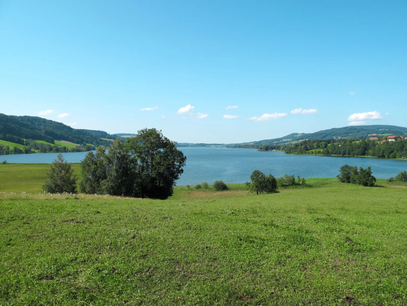 Lärche-Omgeving