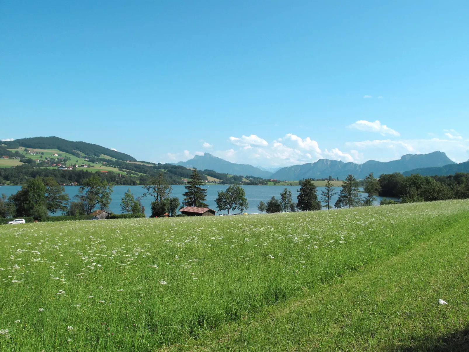 Lärche-Omgeving