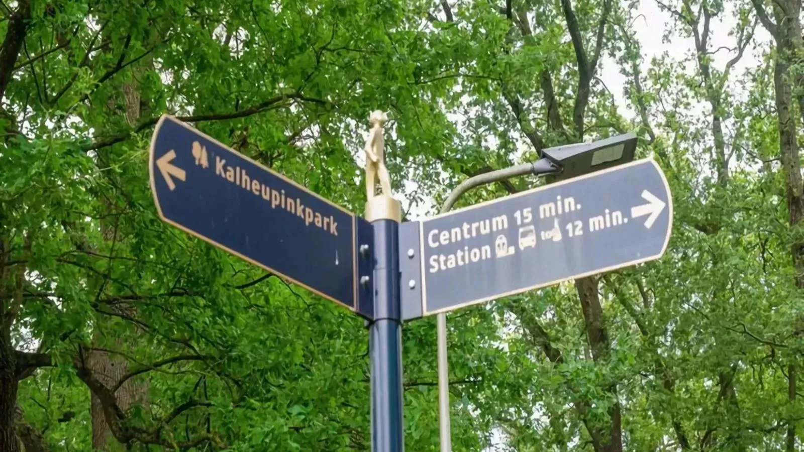 Wellnesshuisje Kalheupink-Gebieden zomer 1km