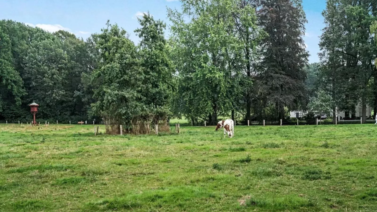 Wellnesshuisje Kalheupink-Gebieden zomer 1km