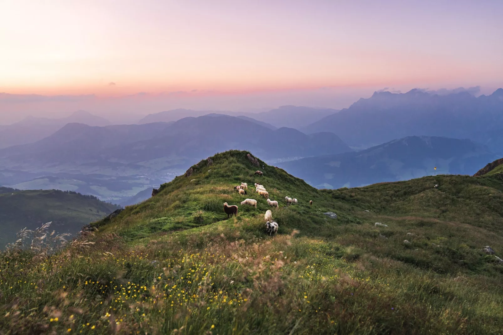 Dorfresort Kitzbühel 5-Gebieden zomer 20km