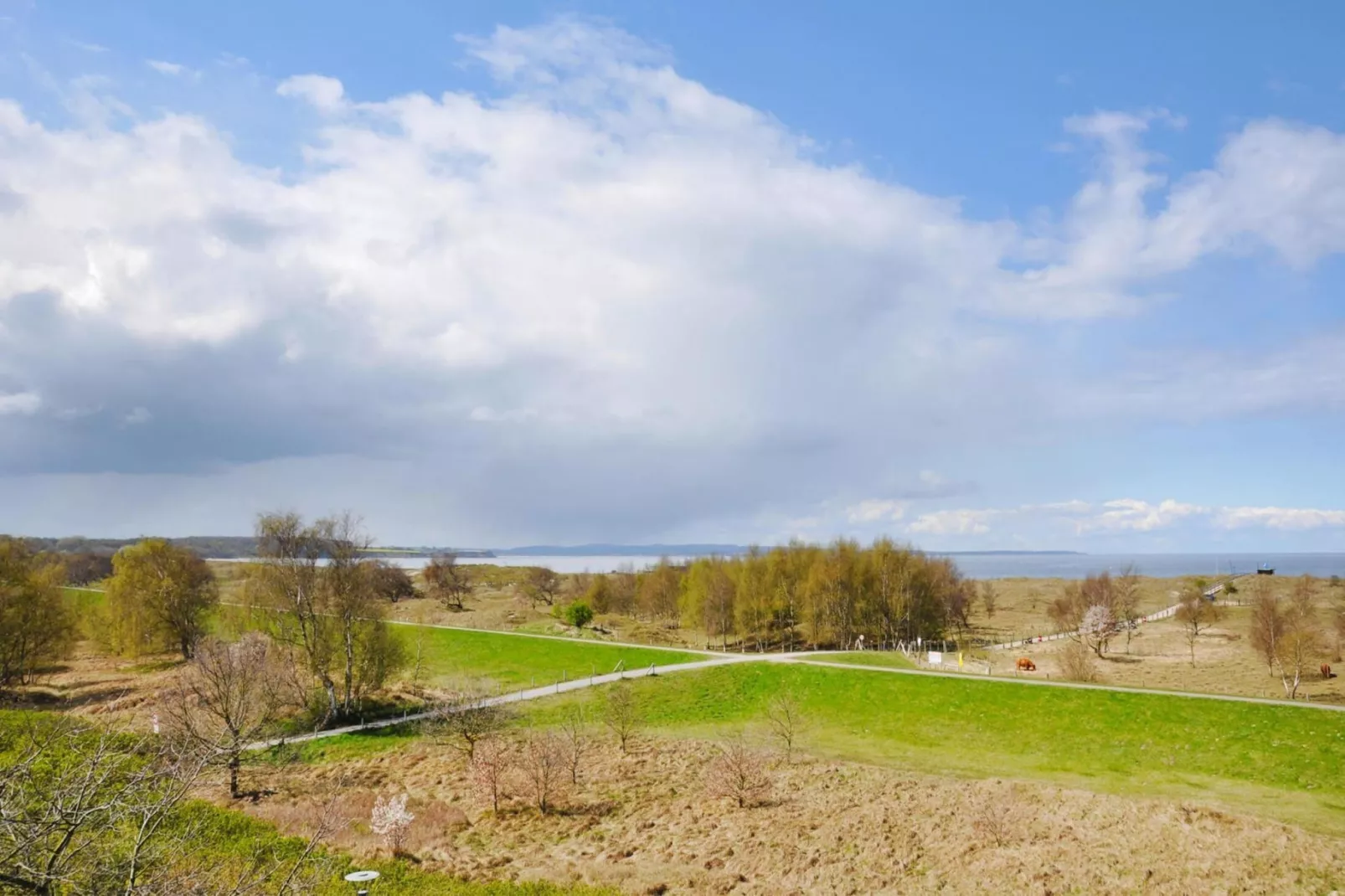 2-Zimmer-Appartement "Am Park"-Gebieden zomer 1km