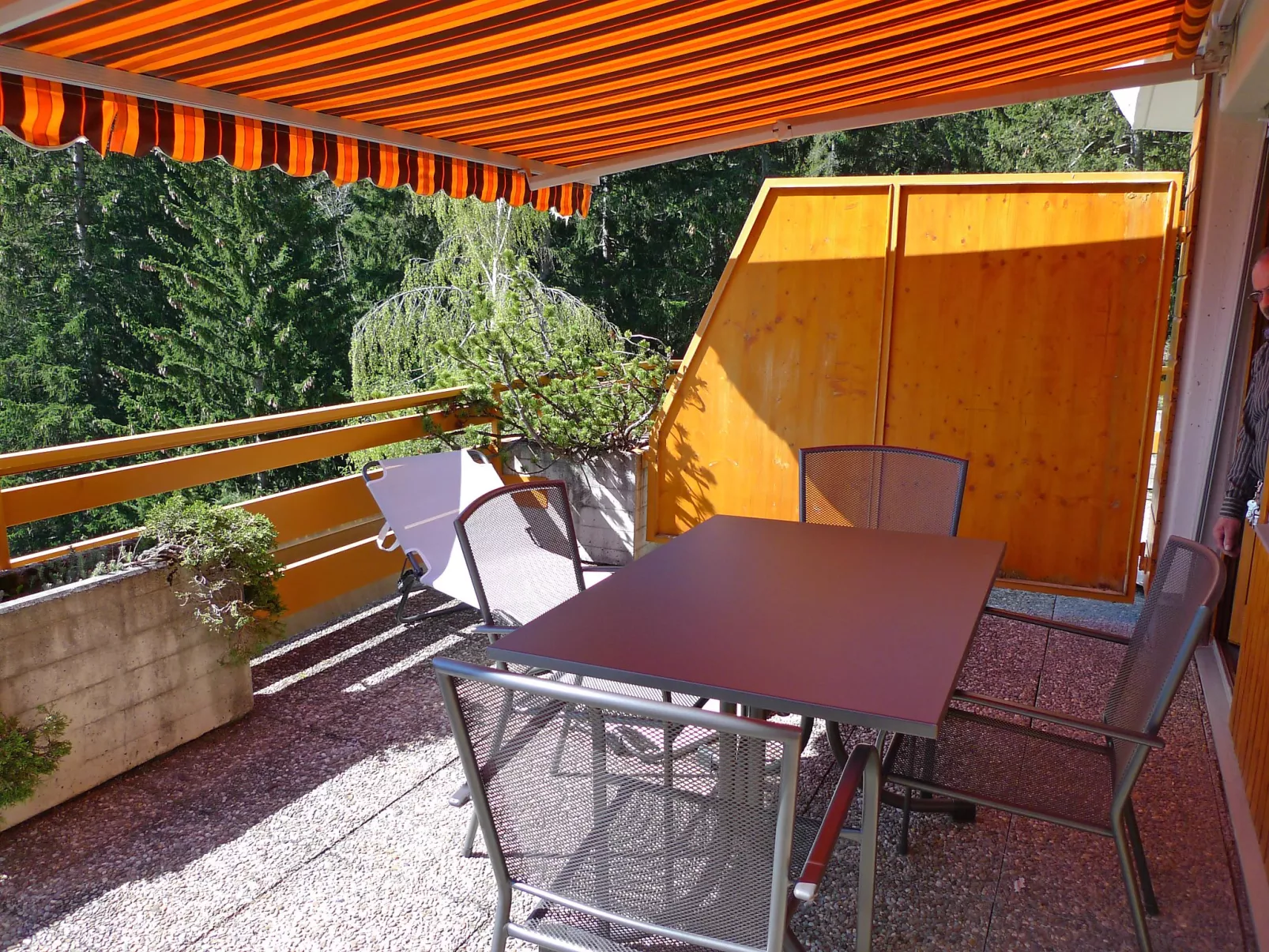 Terrasse des Alpes-Buiten