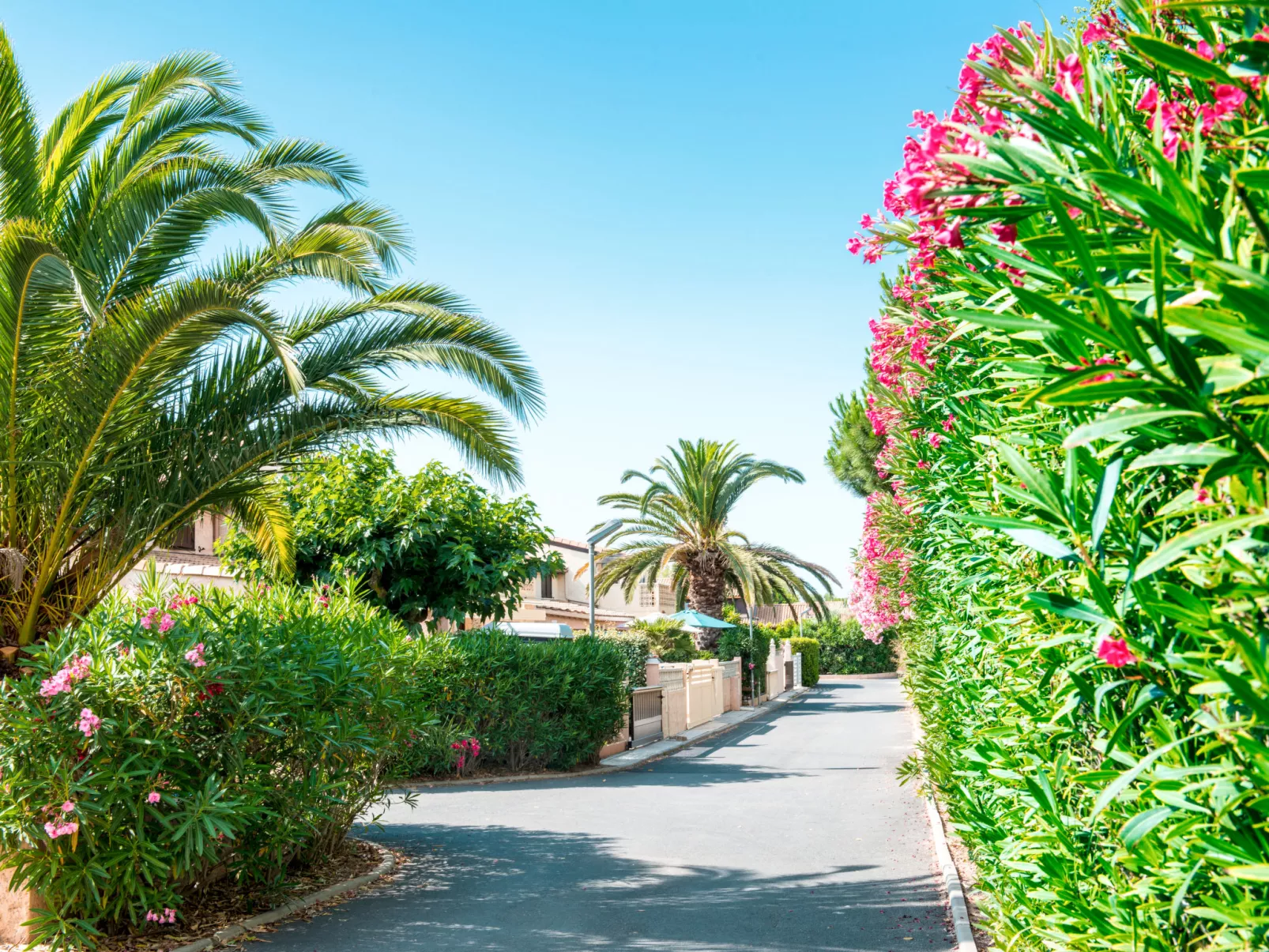 Domaine des Tamaris-Binnen