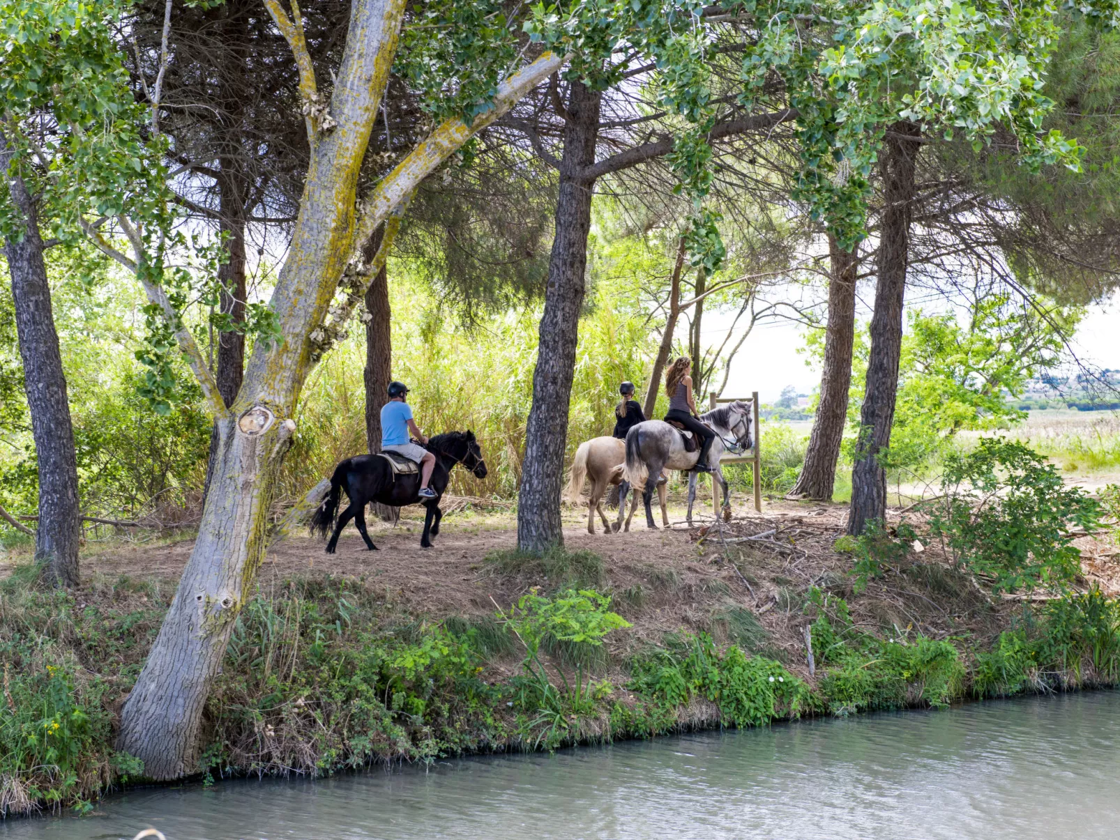 Domaine des Tamaris-Omgeving
