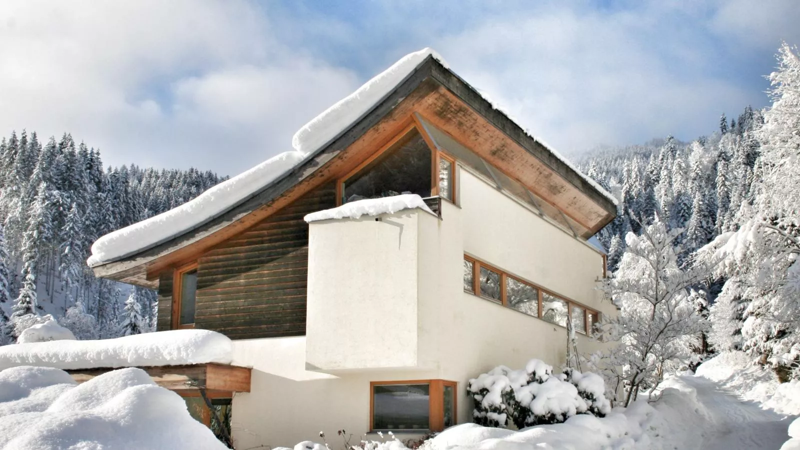 Im Wald-Exterieur winter