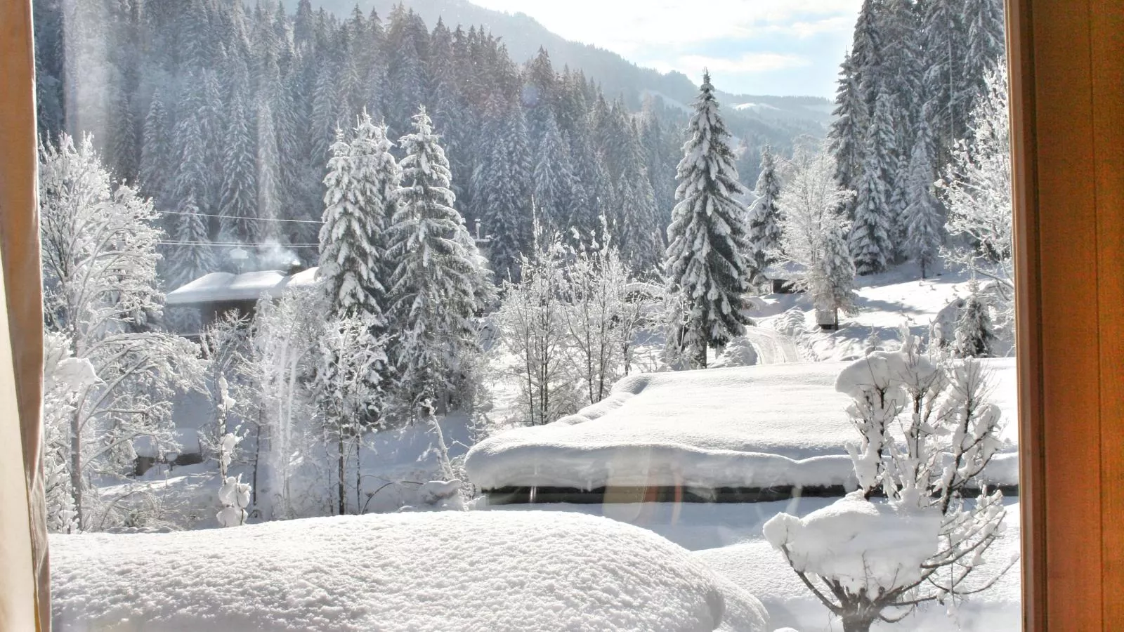 Im Wald-Uitzicht winter