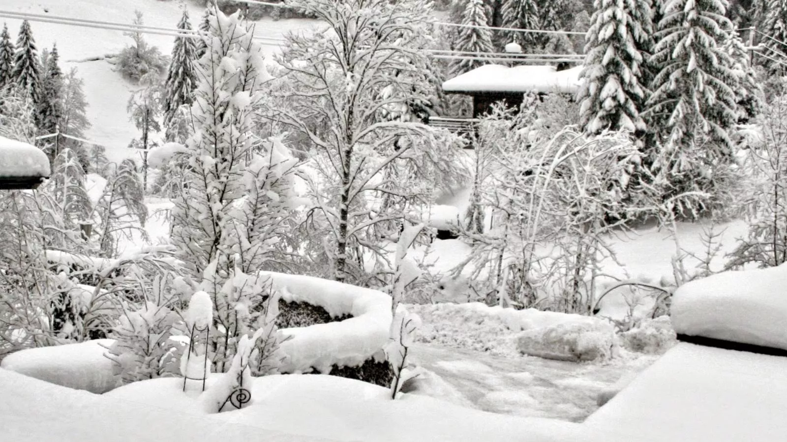 Im Wald-Uitzicht winter