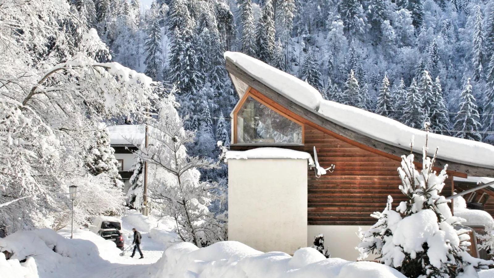 Im Wald-Exterieur winter