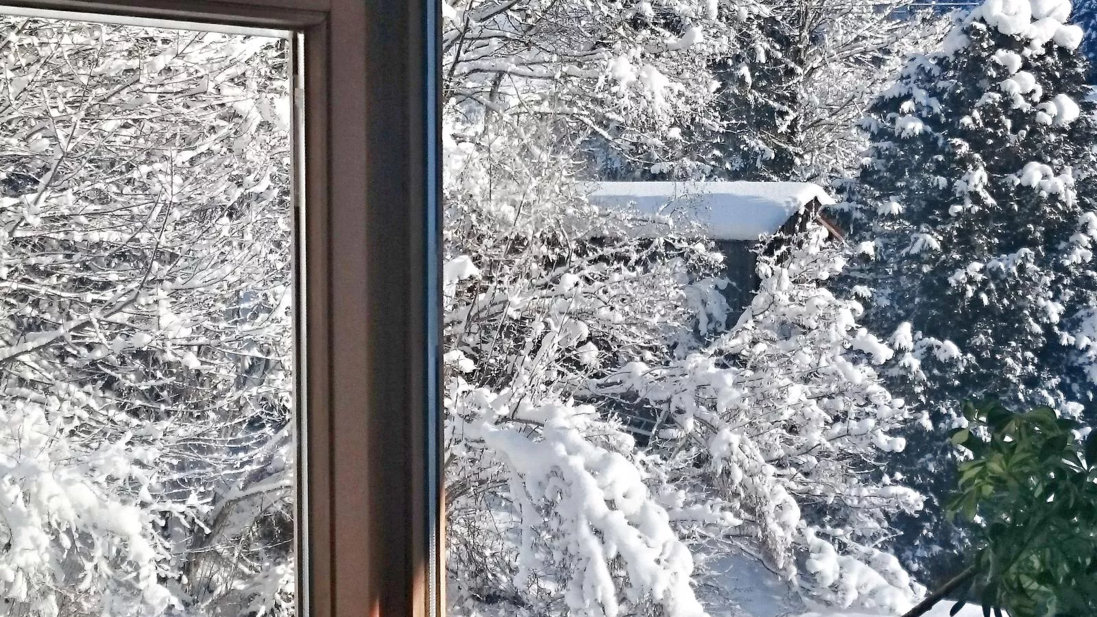 Im Wald-Uitzicht winter