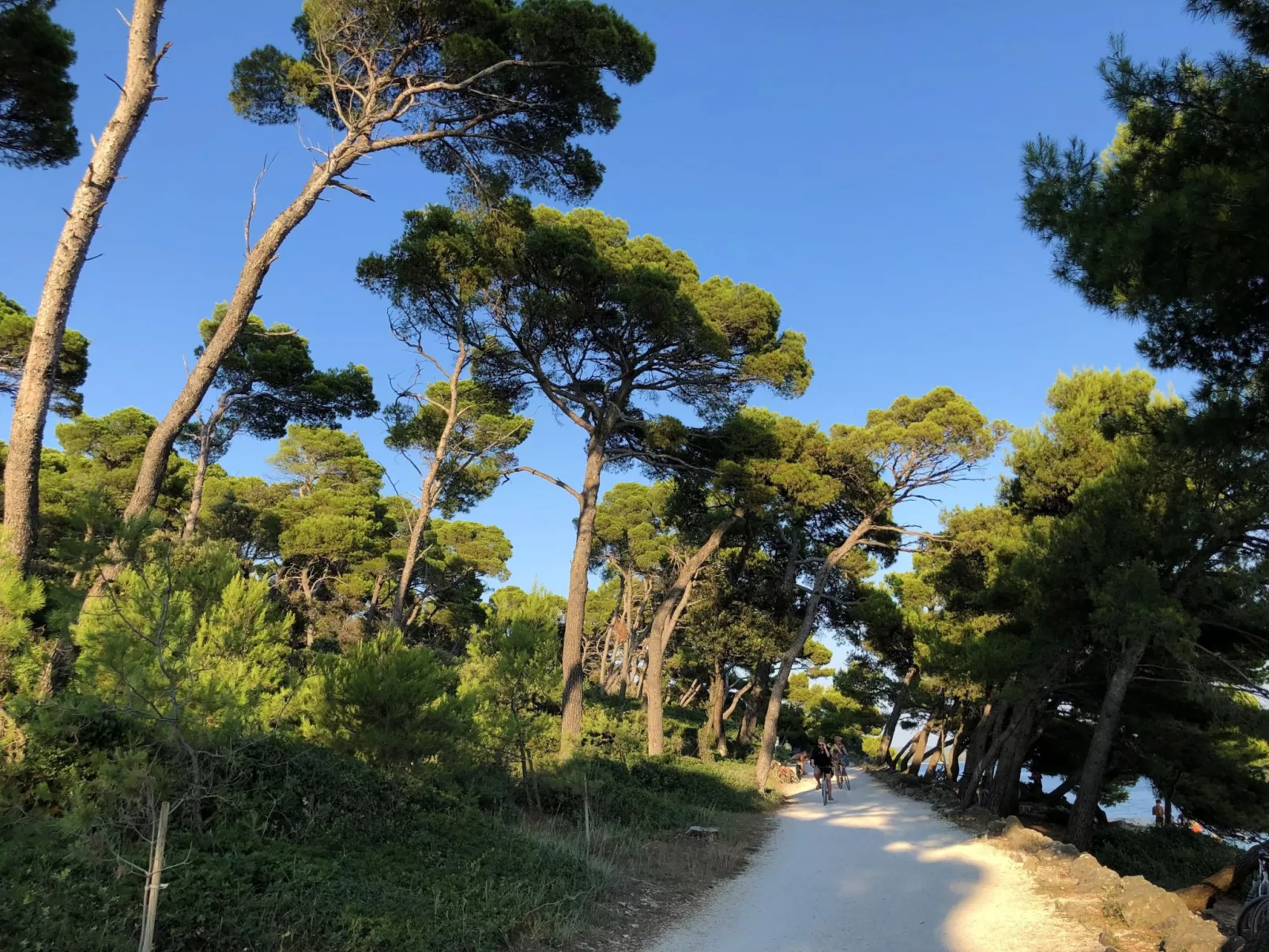 Trieste-Buiten