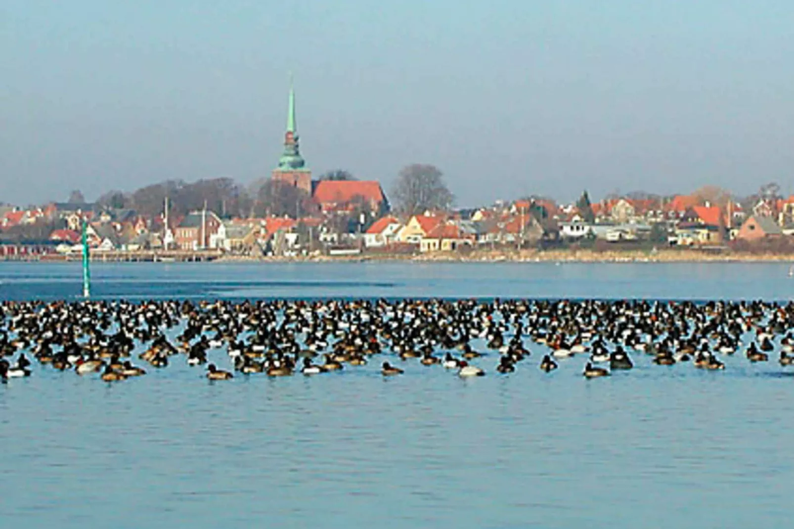 8 persoons vakantie huis in Nysted-By Traum-Niet-getagd
